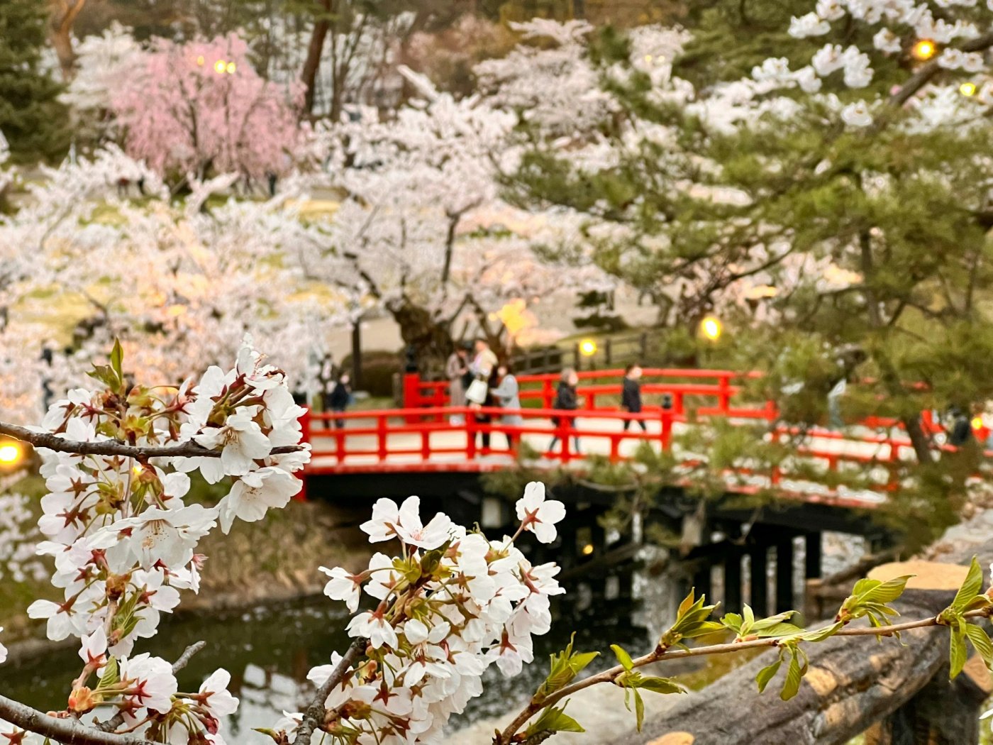 Spring scenery in Japan