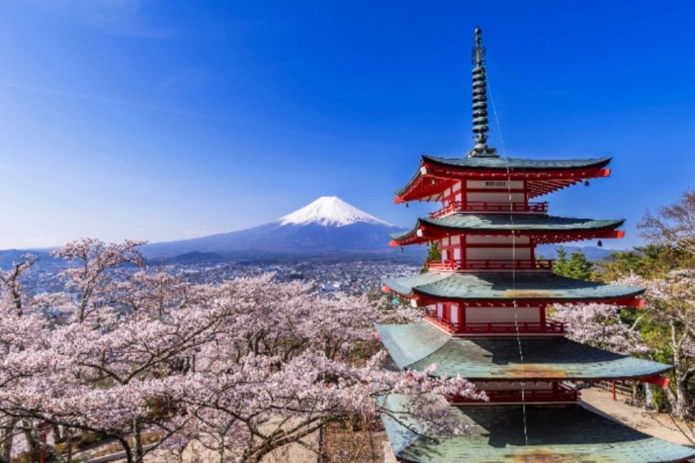 A classic spring journey through Tokyo, Mount Fuji and Kansai