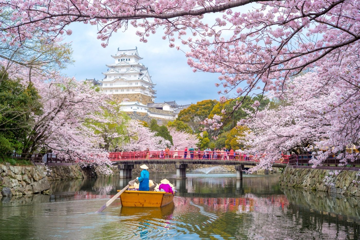 Japan in cherry blossom season