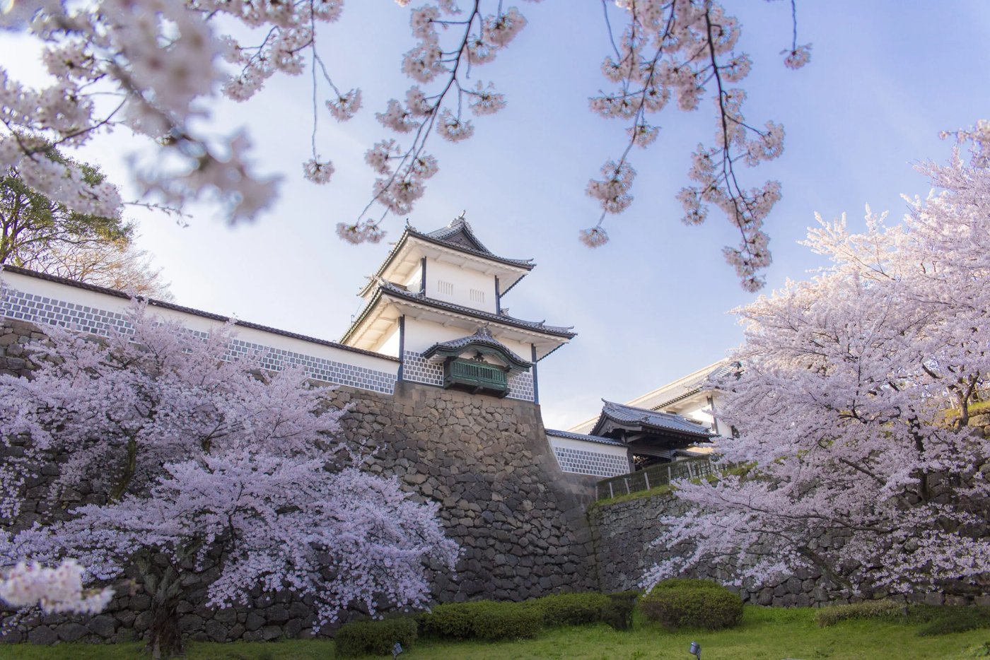 Kanazawa’s Cherry Blossom Season
