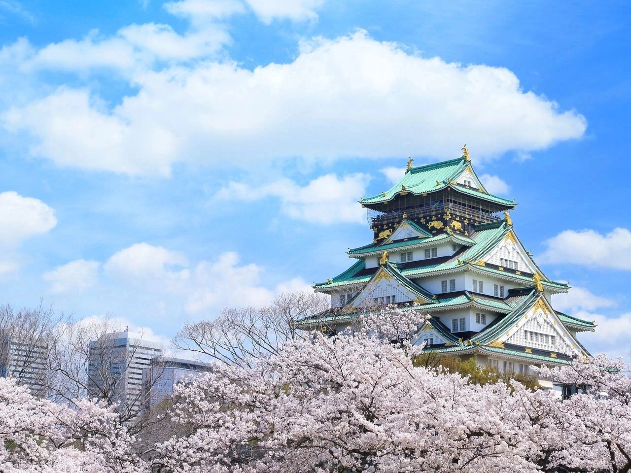 Osaka’s Cherry Blossom Season